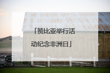 赞比亚举行活动纪念非洲日